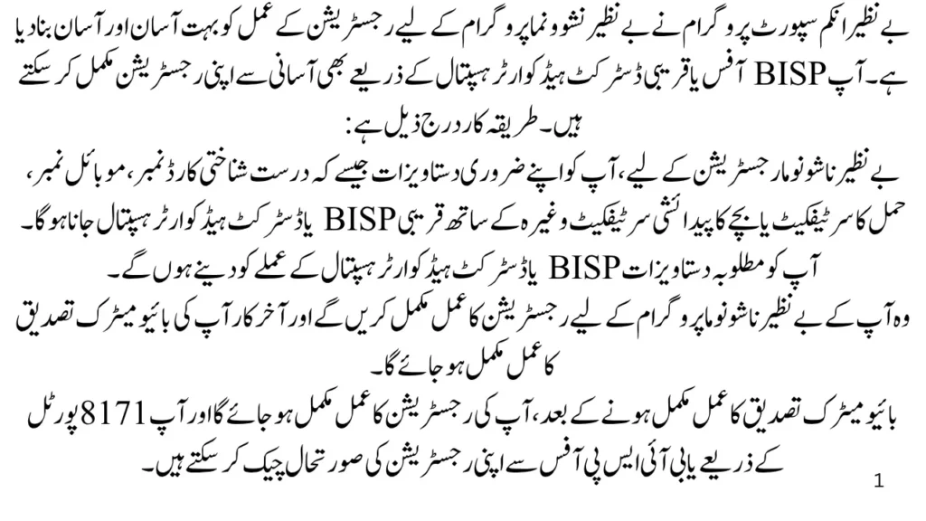 How To Apply for Benazir Nashonuma Program 2026 - Complete Guide