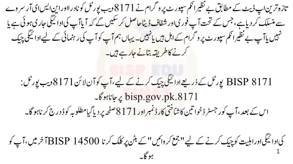 How to Check BISP 8171 Result Online by CNIC Step-by-Step Guide