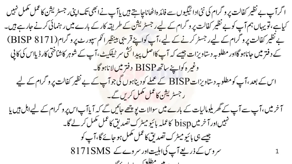 How to Complete Benazir Kafalat 14500 Registration Process - Complete Guide