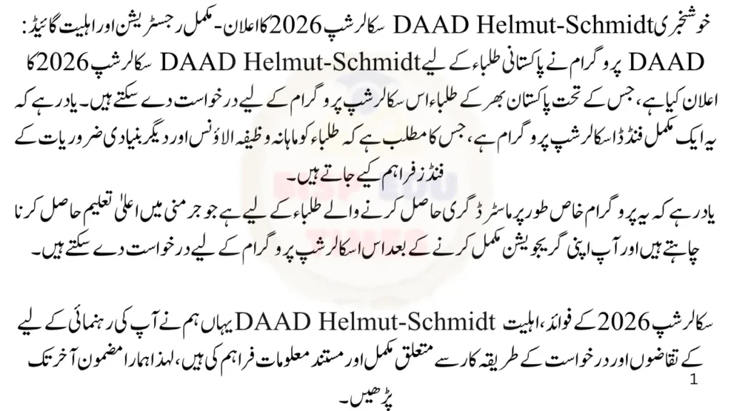DAAD Helmut-Schmidt Scholarship 2026