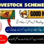 CM Livestock Scheme 2026 Eligibility Criteria & How to Apply for Interest-Free Loan