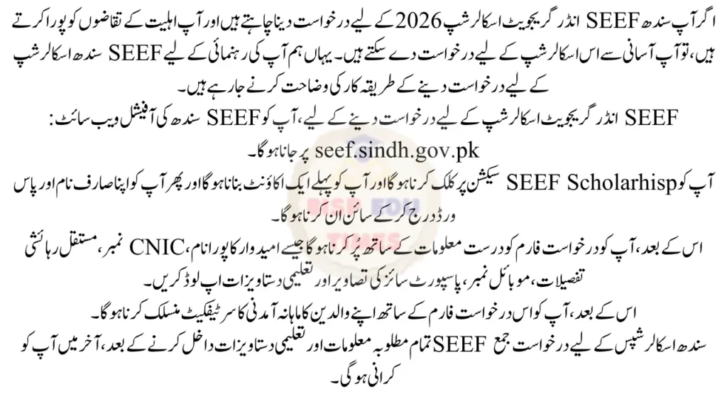 How to Apply for SEEF Undergraduate Scholarship 2026 - Complete Guide