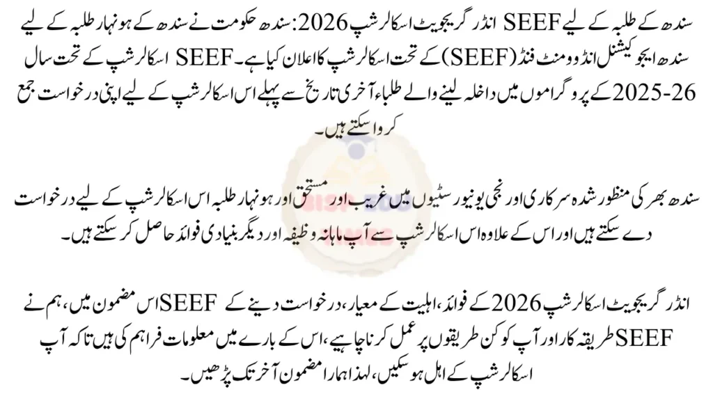 SEEF Undergraduate Scholarship 2026 for Sindh Students