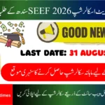 SEEF Undergraduate Scholarship 2026 for Sindh Students – Apply Online, Eligibility, Last Date & Complete Guide