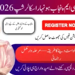 Punjab Honhaar Scholarship
